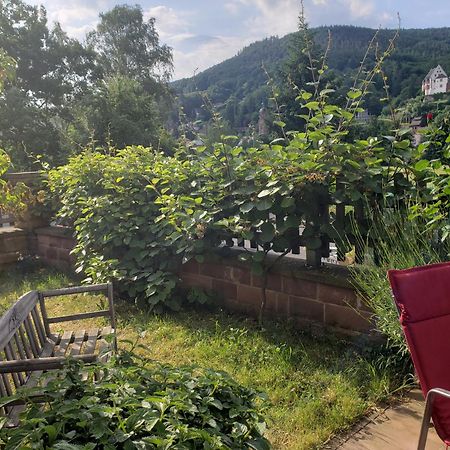 Panorama-Blick Miltenberg, 3 Pers., Zentr., Am Main, Terrasse, Bootverleih, P Екстер'єр фото