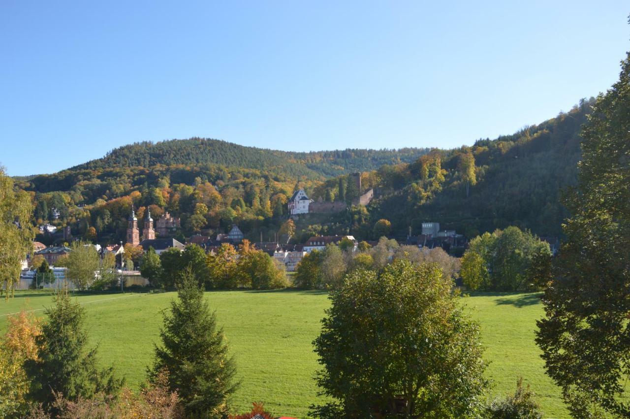 Panorama-Blick Miltenberg, 3 Pers., Zentr., Am Main, Terrasse, Bootverleih, P Екстер'єр фото