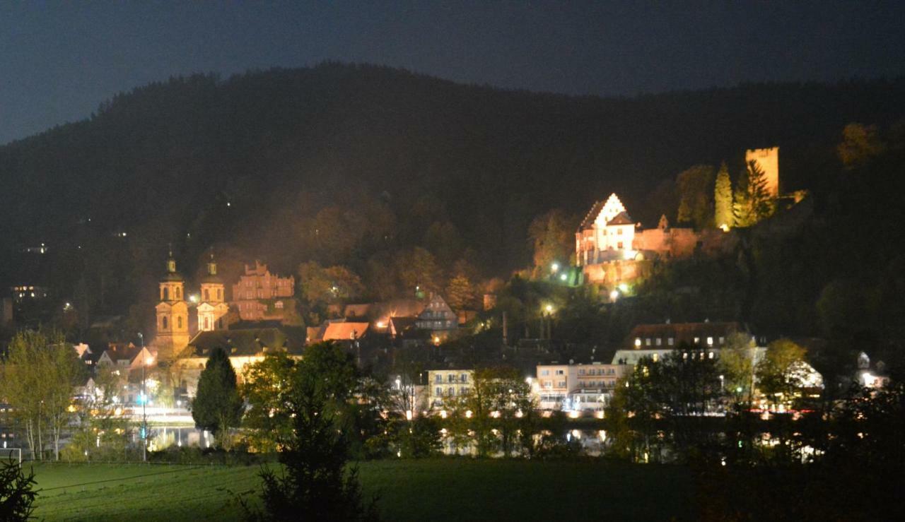 Panorama-Blick Miltenberg, 3 Pers., Zentr., Am Main, Terrasse, Bootverleih, P Екстер'єр фото