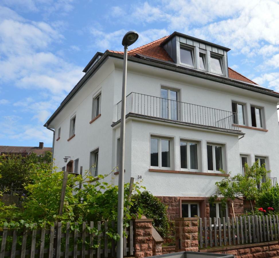 Panorama-Blick Miltenberg, 3 Pers., Zentr., Am Main, Terrasse, Bootverleih, P Екстер'єр фото