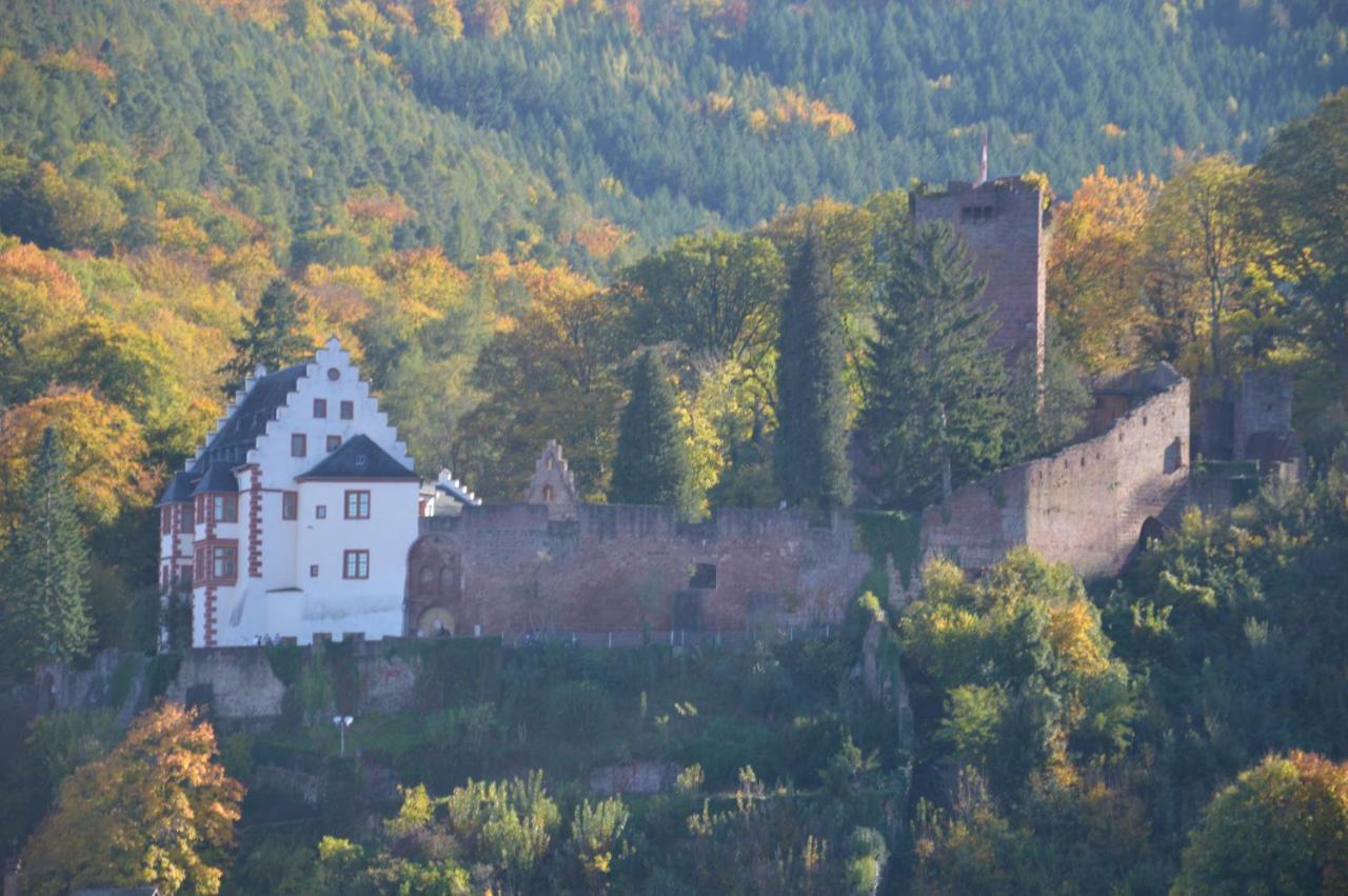 Panorama-Blick Miltenberg, 3 Pers., Zentr., Am Main, Terrasse, Bootverleih, P Екстер'єр фото