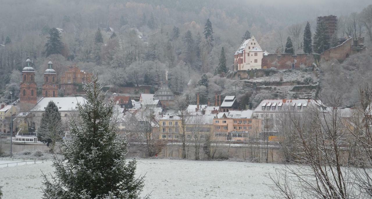 Panorama-Blick Miltenberg, 3 Pers., Zentr., Am Main, Terrasse, Bootverleih, P Екстер'єр фото