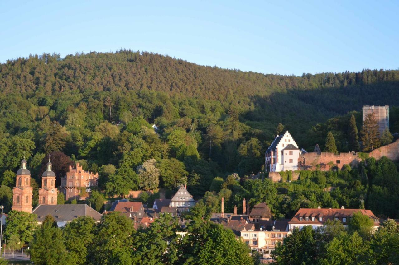 Panorama-Blick Miltenberg, 3 Pers., Zentr., Am Main, Terrasse, Bootverleih, P Екстер'єр фото