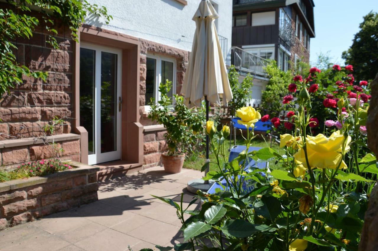 Panorama-Blick Miltenberg, 3 Pers., Zentr., Am Main, Terrasse, Bootverleih, P Екстер'єр фото
